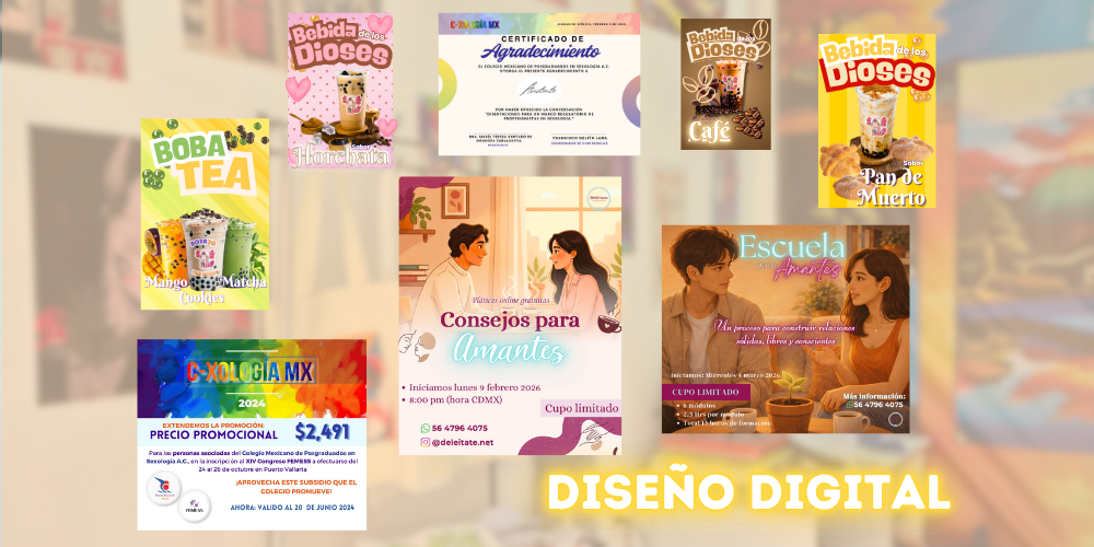 Proyecto 6